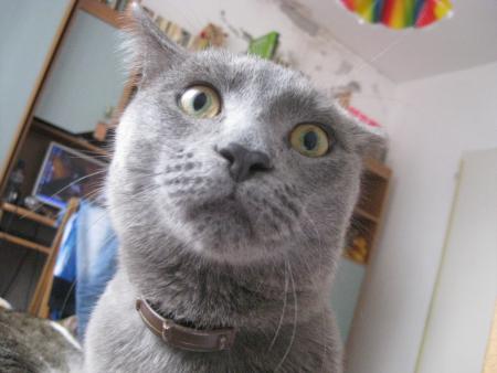 Прикачена снимка