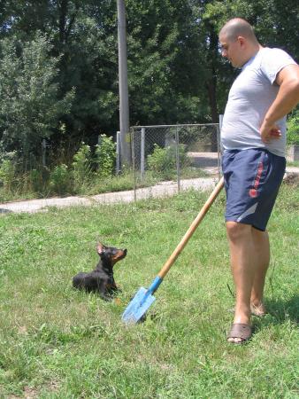 Прикачена снимка