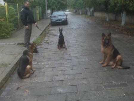 Прикачена снимка