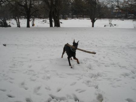 Прикачена снимка