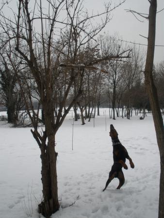 Прикачена снимка