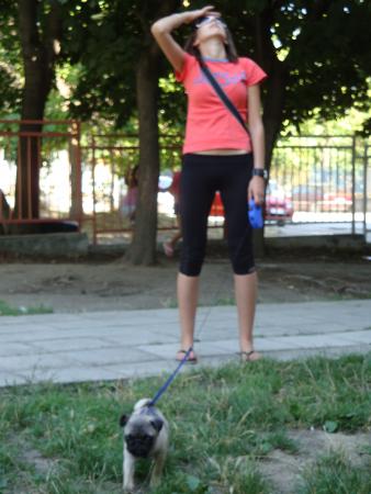 Прикачена снимка