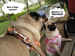 Прикачена снимка
