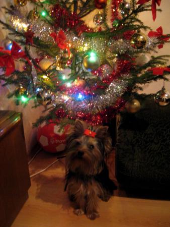Прикачена снимка