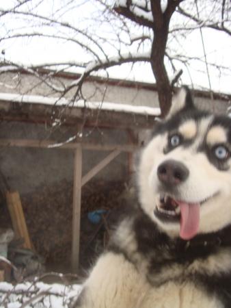 Прикачена снимка