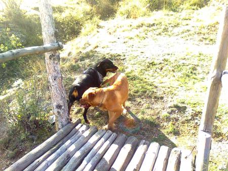 Прикачена снимка