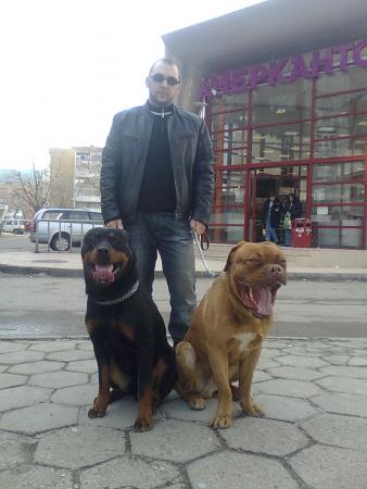Прикачена снимка