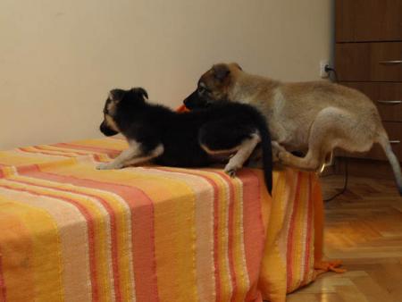 Прикачена снимка