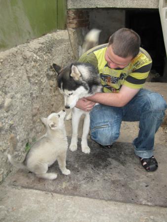 Прикачена снимка