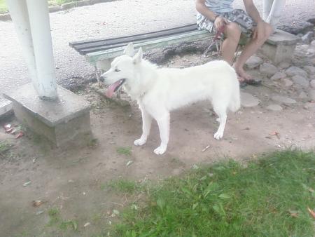 Прикачена снимка