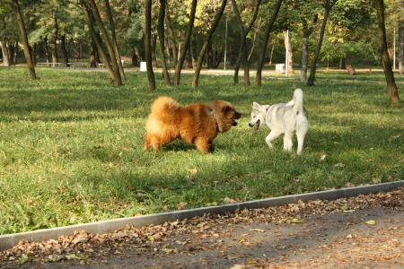 Прикачена снимка