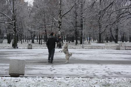 Прикачена снимка