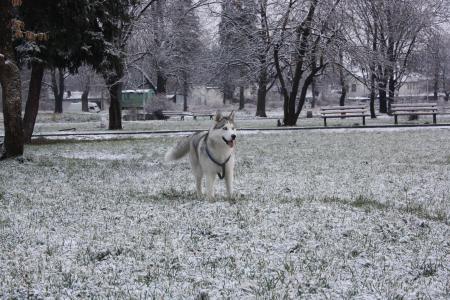 Прикачена снимка