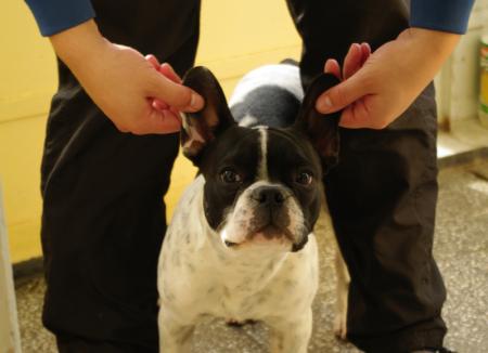 Прикачена снимка