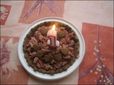 Прикачена снимка