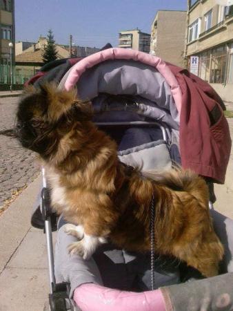 Прикачена снимка