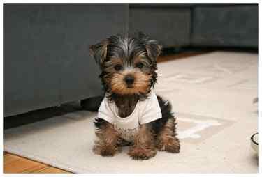 Прикачена снимка