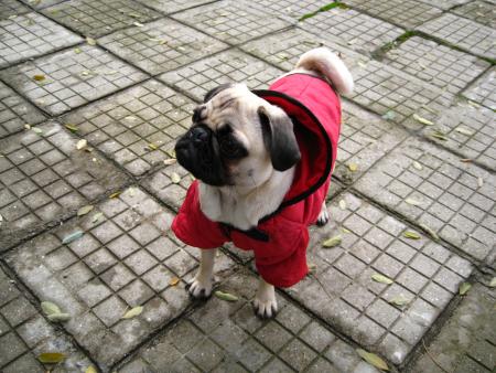 Прикачена снимка