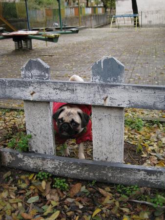 Прикачена снимка