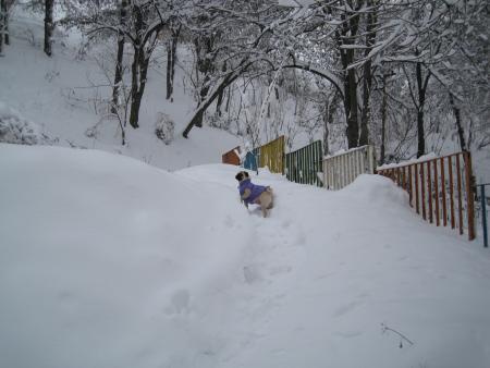 Прикачена снимка
