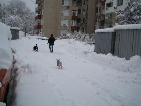 Прикачена снимка