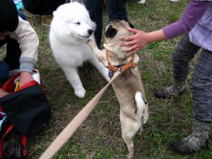 Прикачена снимка