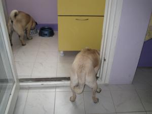 Прикачена снимка