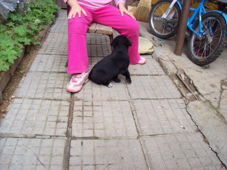 Прикачена снимка