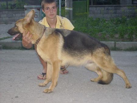 Прикачена снимка