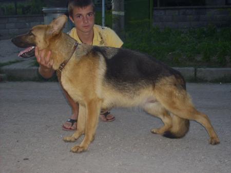 Прикачена снимка