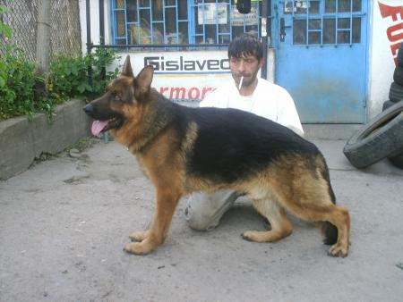 Прикачена снимка