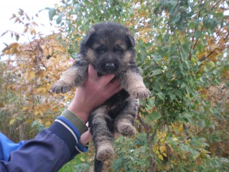 Прикачена снимка