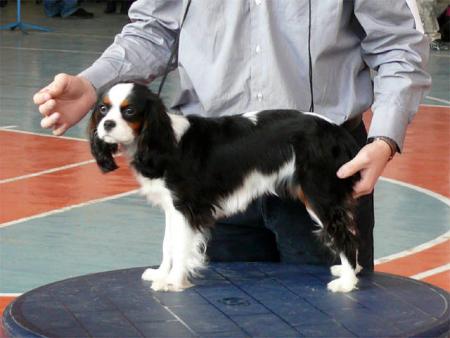 Прикачена снимка