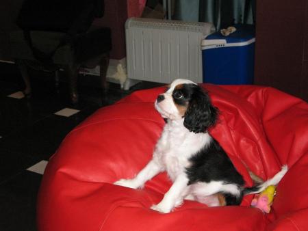 Прикачена снимка