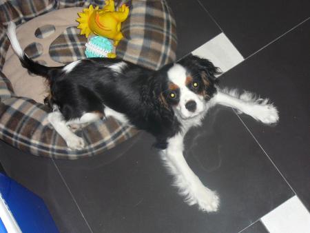 Прикачена снимка