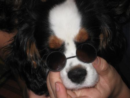 Прикачена снимка