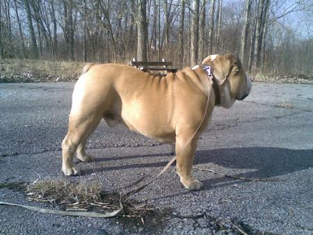 Прикачена снимка