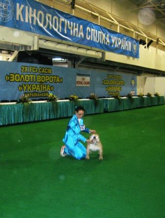 Прикачена снимка