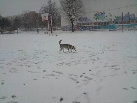 Прикачена снимка