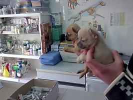 Прикачена снимка