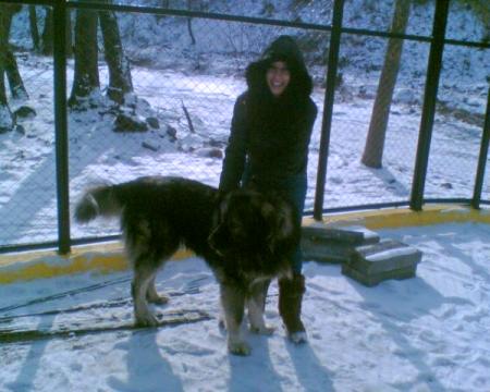 Прикачена снимка