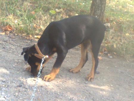 Прикачена снимка