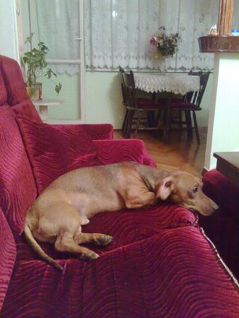 Прикачена снимка