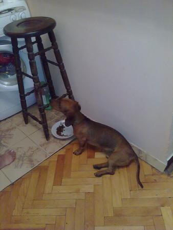 Прикачена снимка