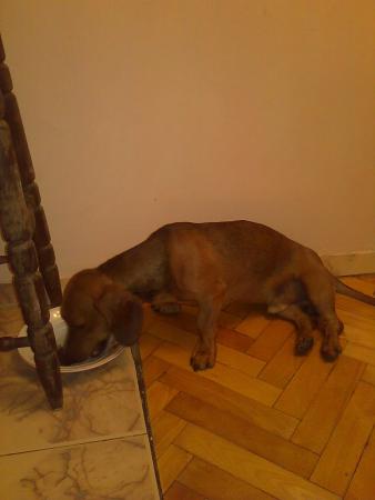 Прикачена снимка