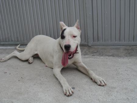 Прикачена снимка