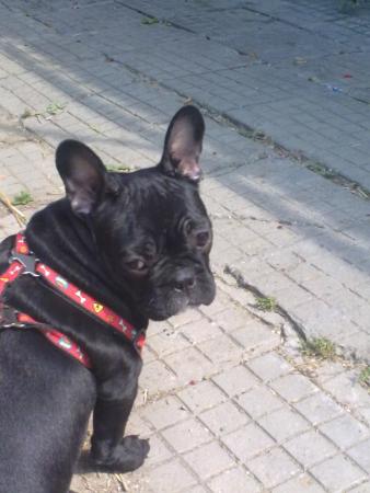 Прикачена снимка