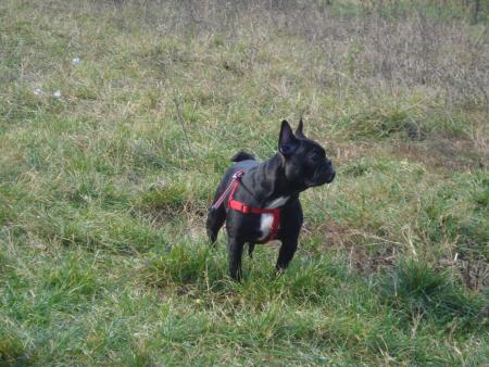 Прикачена снимка