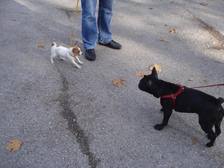 Прикачена снимка