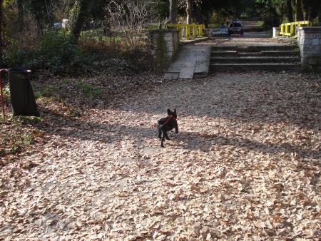 Прикачена снимка